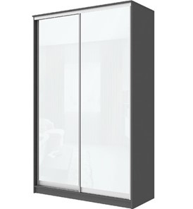 Шкаф 2-х дверный Хит-22-15-22 с цветным стеклом, белое №10, Графит в Тюмени - предосмотр