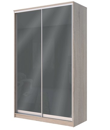 Шкаф 2-х дверный Хит-22-4-12/2-22 с цветным стеклом, темно-серый 073, Дуб сонома в Тюмени - изображение