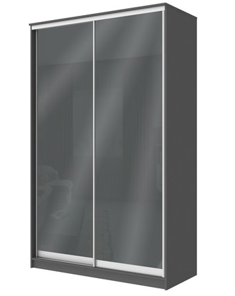 Шкаф 2-х створчатый Хит-22-4-12/2-22 с цветным стеклом, темно-серый 073, Графит в Тюмени - изображение