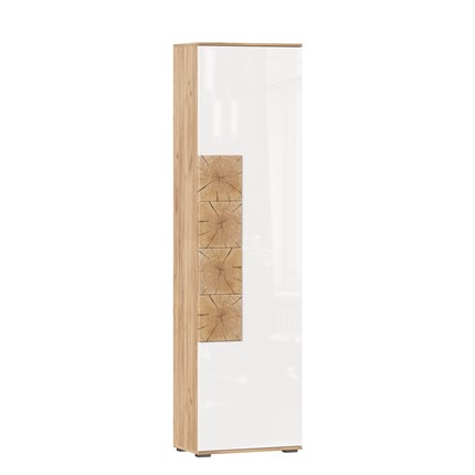 Шкаф одностворчатый Фиджи, 659300, белый/дуб золотой в Заводоуковске - изображение