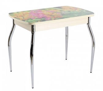 Кухонный стол раздвижной ПГ мини СТФ, дуб молочный лдсп/луговые цветы/35 хром гнутые в Тюмени