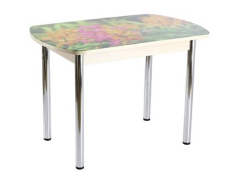 Кухонный стол раскладной ПГ-02 СТФ, дуб молочный ЛДСП/луговые цветы/39 прямые трубы хром в Тюмени