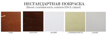 Обеденный стол Соло плюс 140х80, (покраска 2 тип) в Заводоуковске - предосмотр 4