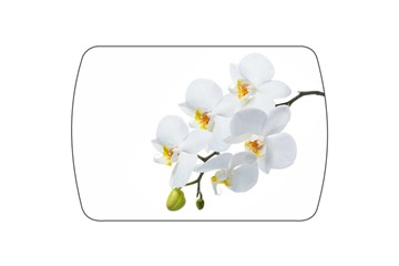 Обеденный раздвижной стол Танго, белый/орхидея в Заводоуковске - предосмотр 3