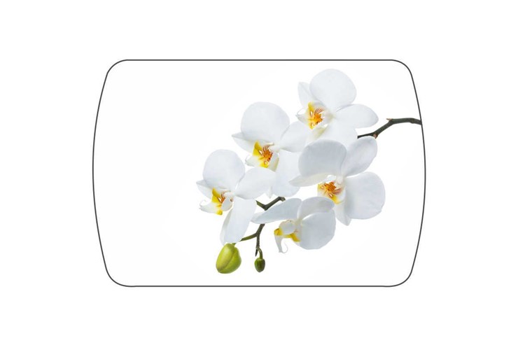 Обеденный раздвижной стол Танго, белый/орхидея в Тюмени - изображение 3