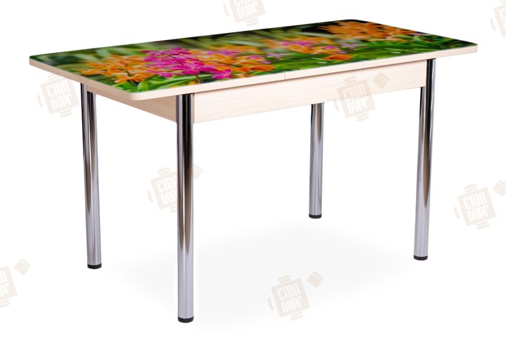 Кухонный раскладной стол Айсберг-02 СТФ, Дуб ЛДСП/полевые цветы/ноги хром прямые в Тюмени - изображение 2