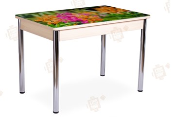 Кухонный раскладной стол Айсберг-02 СТФ, Дуб ЛДСП/полевые цветы/ноги хром прямые в Тюмени