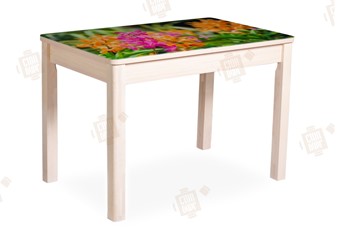 Кухонный раскладной стол Айсберг-02 СТФ, Дуб ЛДСП/полевые цветы/ноги масссив в Тюмени
