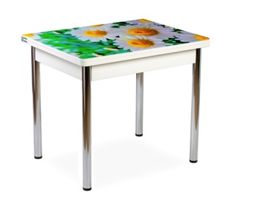 Кухонный пристенный стол СПА-01 СТФ, белый/фотопечать ромашки/опоры прямые хром в Тюмени - предосмотр