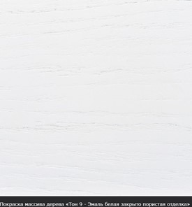 Кухонный стол раздвижной Фабрицио-1 Круг 1000, (D100, Тон 10 - Слоновая кость) Морилка/Эмаль в Заводоуковске - предосмотр 19