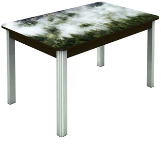 Кухонный стол раскладной Гамбург исп. 1, ноги метал. крашеные №23 (Exclusive h010/венге) в Тюмени