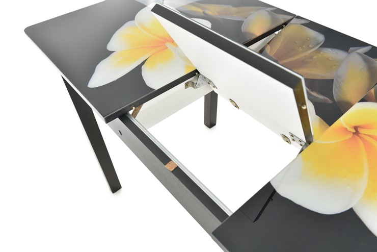 Обеденный раздвижной стол Гамбург исп. 1, ноги метал. крашеные №23 (Exclusive h125/черный) в Заводоуковске - изображение 5
