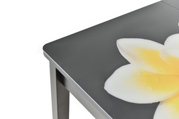 Кухонный раздвижной стол Гамбург исп. 1, ноги метал. крашеные №23 (Exclusive h142/черный) в Заводоуковске - предосмотр 9