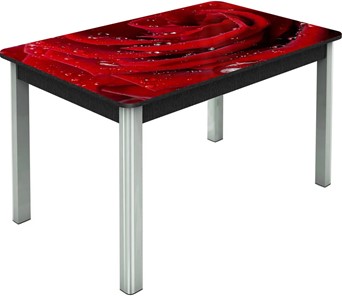Кухонный стол раздвижной Гамбург исп. Мини, ноги метал. крашеные №23, Фотопечать (Цветы №39) в Тюмени
