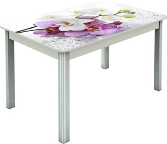 Кухонный стол раскладной Гамбург исп. Мини, ноги метал. крашеные №23, Фотопечать (Цветы №44) в Тюмени