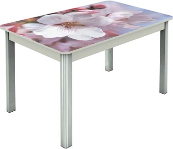 Обеденный раздвижной стол Гамбург исп.1 ноги метал. крашеные №23, Фотопечать (Цветы №15) в Тюмени