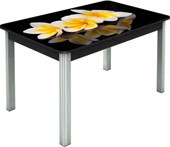 Кухонный стол раскладной Гамбург исп.2 ноги метал. крашеные №23, Фотопечать (Цветы №11) в Тюмени