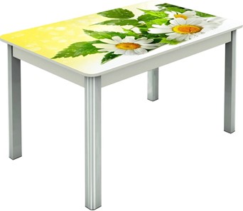 Обеденный раздвижной стол Гамбург исп.2 ноги метал. крашеные №23, Фотопечать (Цветы №3) в Тюмени