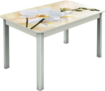 Кухонный стол раскладной Гамбург исп.2 ноги метал. крашеные №23, Фотопечать (Цветы №5) в Ишиме