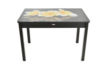 Кухонный стол раздвижной Гамбург Мини, ноги метал. крашеные №23 (Exclusive h010/венге) в Тюмени - предосмотр 7