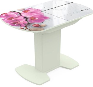 Кухонный стол раздвижной Корсика исп. 1 Фотопечать (Цветы №24) 1100(1415)*700 в Тюмени