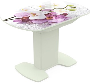 Кухонный стол раздвижной Корсика исп. 1 Фотопечать (Цветы №44) 1100(1415)*700 в Тюмени