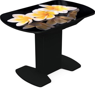 Обеденный раздвижной стол Корсика исп. 2 Фотопечать (Цветы №11) 1200(1515)*800 в Тюмени