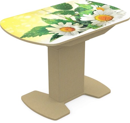 Кухонный стол раздвижной Корсика исп. 2 Фотопечать (Цветы №3) 1200(1515)*800 в Заводоуковске - изображение