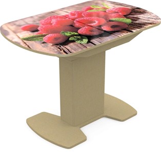 Кухонный стол раздвижной Корсика исп. 2 Фотопечать (Фрукты №1) 1200(1515)*800 в Ишиме
