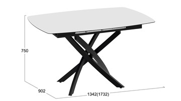 Кухонный стол раздвижной Манхеттен Т1 (Черный муар/Стекло матовое белое) в Тюмени - предосмотр 8