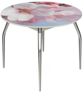 Раздвижной стол Ривьера - Круг, ноги метал. крашеные №24, ФП (Цветы №15) в Тюмени