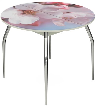 Раздвижной стол Ривьера - Круг, ноги метал. крашеные №24, ФП (Цветы №15) в Заводоуковске - изображение