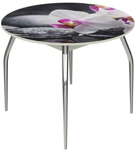 Кухонный раскладной стол Ривьера - Круг, ноги метал. крашеные №24, ФП (Цветы №19) в Тюмени