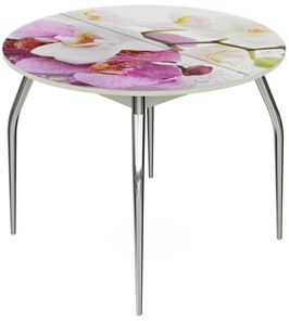 Кухонный стол раздвижной Ривьера - Круг, ноги метал. крашеные №24, ФП (Цветы №44) в Тюмени