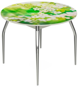 Кухонный раскладной стол Ривьера - Круг, ноги метал. крашеные №24, ФП (Цветы №45) в Тюмени