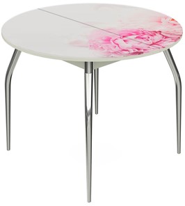 Кухонный раздвижной стол Ривьера - Круг, ноги метал. крашеные №24, ФП (Цветы №49) в Тюмени