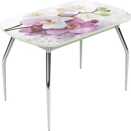 Кухонный стол раздвижной Ривьера исп.1 ноги хром №5 Фотопечать (Цветы №44) в Тюмени - изображение