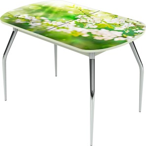 Обеденный раздвижной стол Ривьера исп.1 ноги метал. крашеные №24 Фотопечать (Цветы №45) в Тюмени