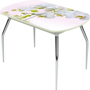 Кухонный стол раздвижной Ривьера исп.1 ноги метал. крашеные №24 Фотопечать (Цветы №7) в Тюмени