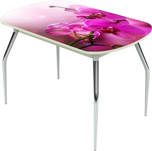Кухонный стол раскладной Ривьера исп.2 ноги метал. крашеные №24 Фотопечать (Цветы №16) в Тюмени