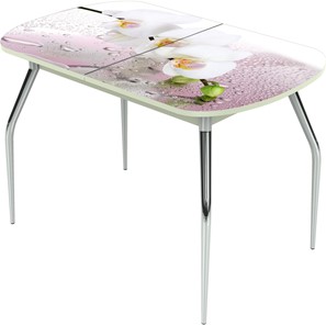 Обеденный раздвижной стол Ривьера исп.2 ноги метал. крашеные №24 Фотопечать (Цветы №20) в Тюмени