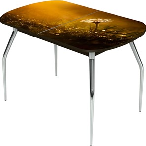 Обеденный раздвижной стол Ривьера исп.2 ноги метал. крашеные №24 Фотопечать (Цветы №43) в Тюмени
