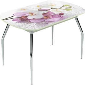 Кухонный стол раздвижной Ривьера исп.2 ноги метал. крашеные №24 Фотопечать (Цветы №44) в Тюмени