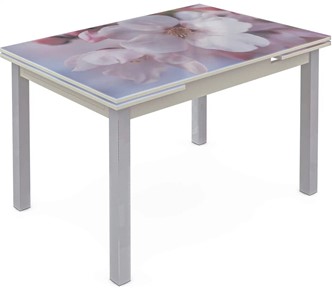Кухонный стол раскладной Шанхай исп. 1, ноги метал. крашеные №21 Фотопечать (Цветы №15) в Тюмени