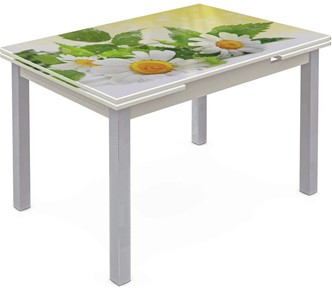 Кухонный стол раскладной Шанхай исп. 1, ноги метал. крашеные №21 Фотопечать (Цветы №3) в Тюмени