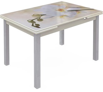 Кухонный стол раскладной Шанхай исп. 1, ноги метал. крашеные №21 Фотопечать (Цветы №5) в Тюмени