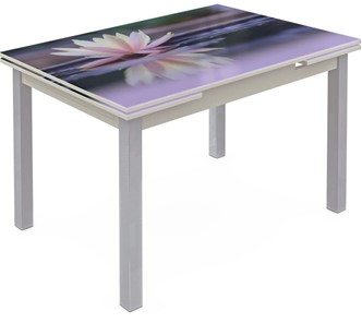 Обеденный раздвижной стол Шанхай исп. 1, ноги метал. крашеные №21 Фотопечать (Цветы №50) в Тюмени