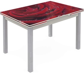 Кухонный стол раздвижной Шанхай исп. 2, ноги метал. крашеные №21 Фотопечать (Цветы №39) в Тюмени