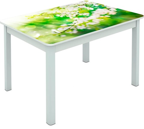 Обеденный стол Мюнхен исп. 1 ноги дерево №14 Фотопечать (Цветы №45) в Заводоуковске - изображение