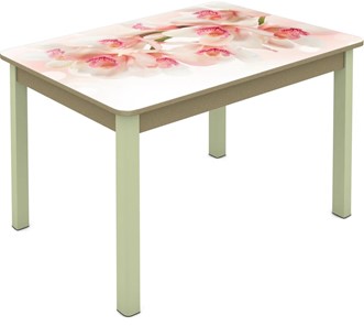 Обеденный стол Мюнхен исп. 1 ноги метал. крашеные №23 Фотопечать (Цветы №10) в Тюмени
